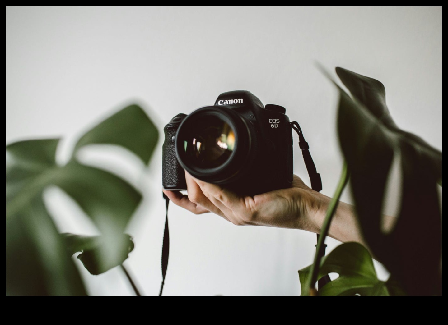 Shutter Başarısı: Kapsamlı Eğitimle Fotoğraflarınızı Dönüştürün